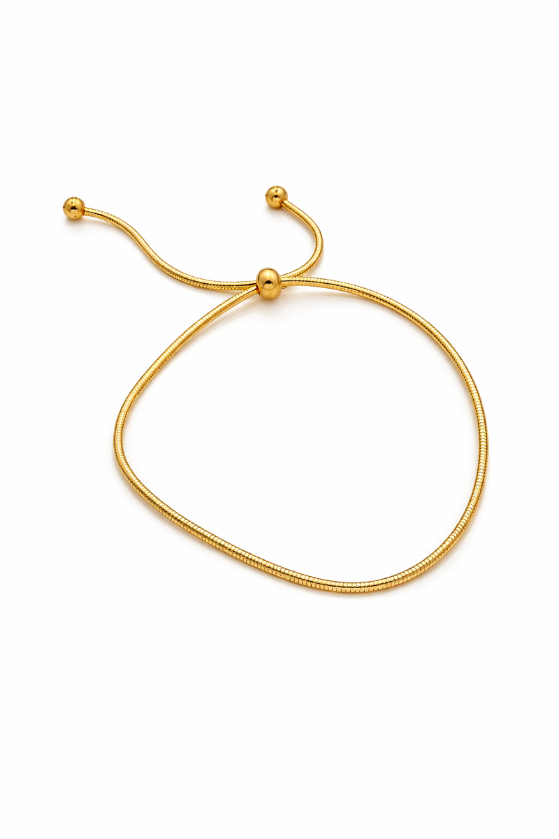 <p><strong>Tobillera dorada</strong><br/><br/></p>